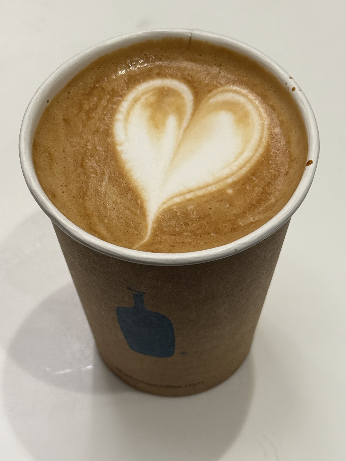 Blue Bottle Coffee CA 90067 — café photo 3
