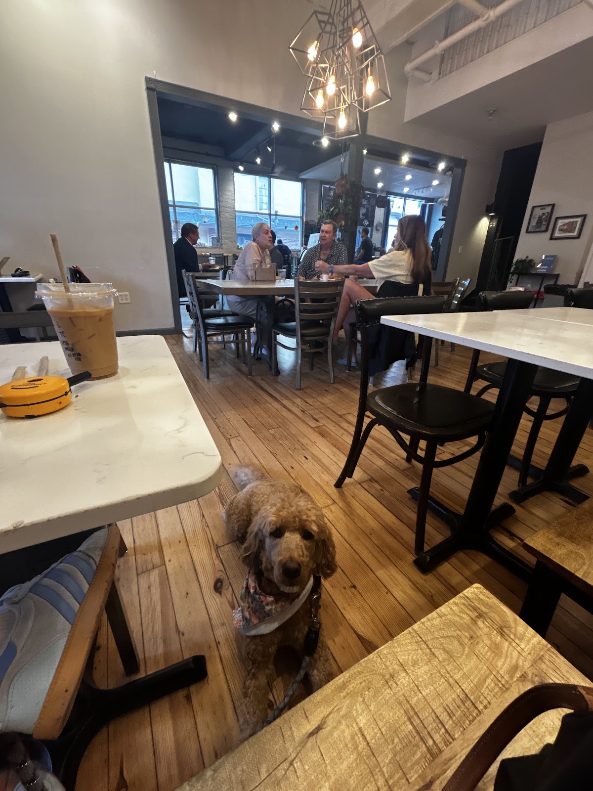 Cool Beans Coffee Roasters — café photo 5