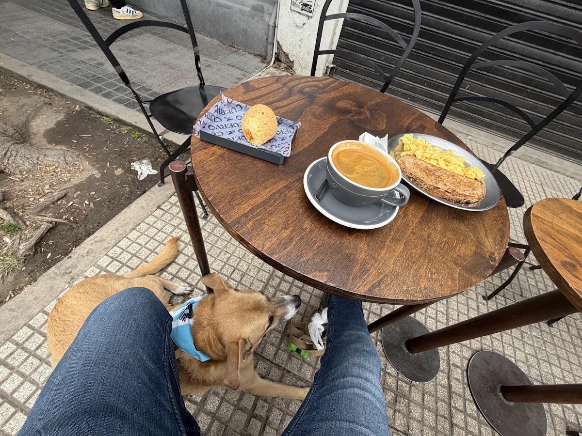 Cuervo Café — café photo 3