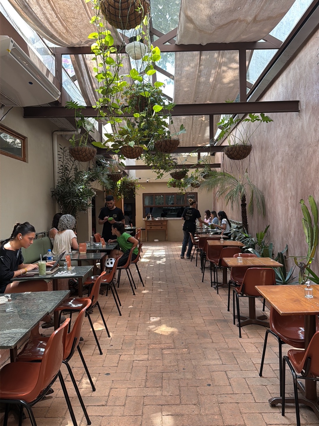 Botanikafé — café photo 3
