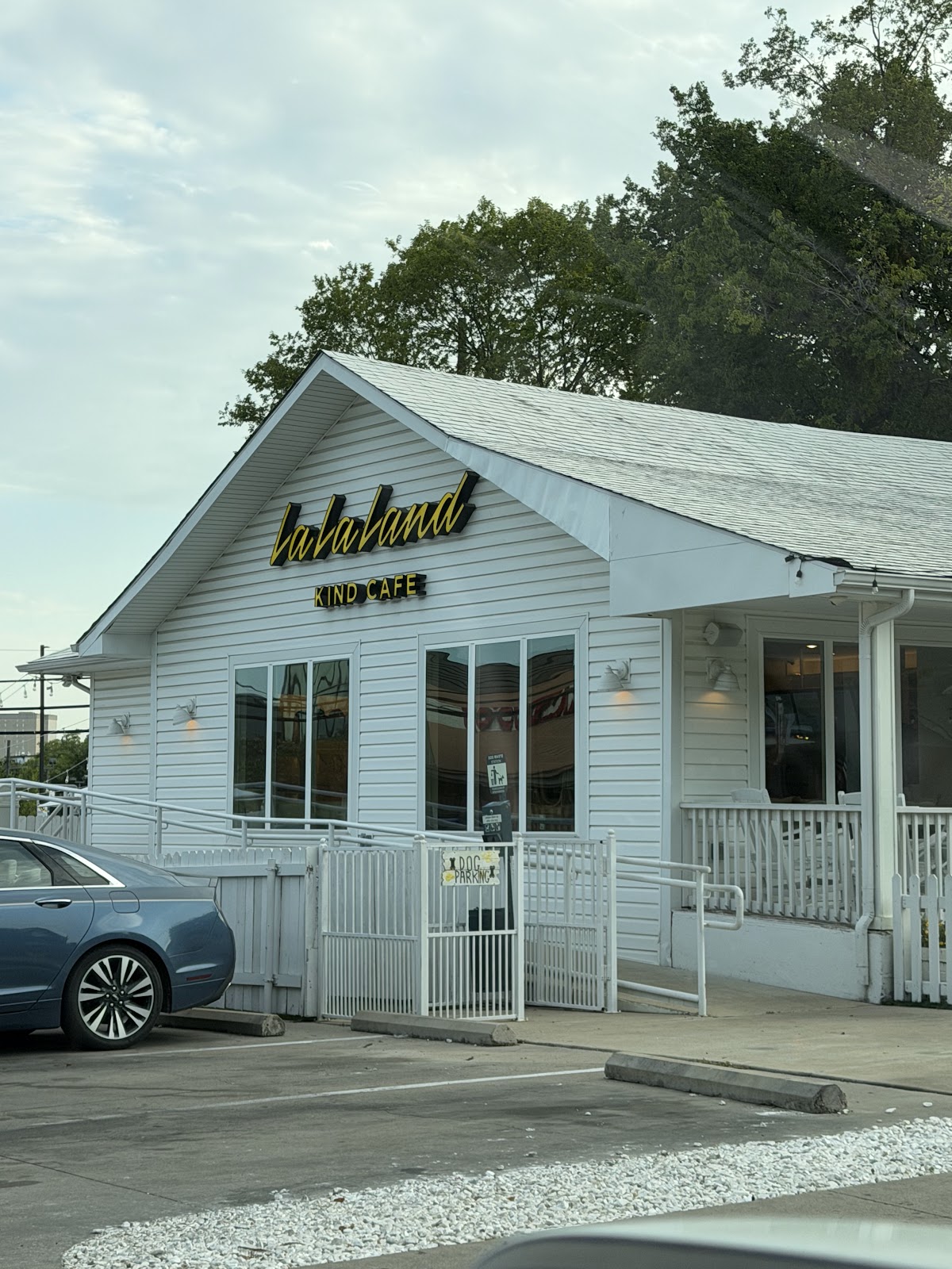 La La Land Kind Cafe — café photo 2