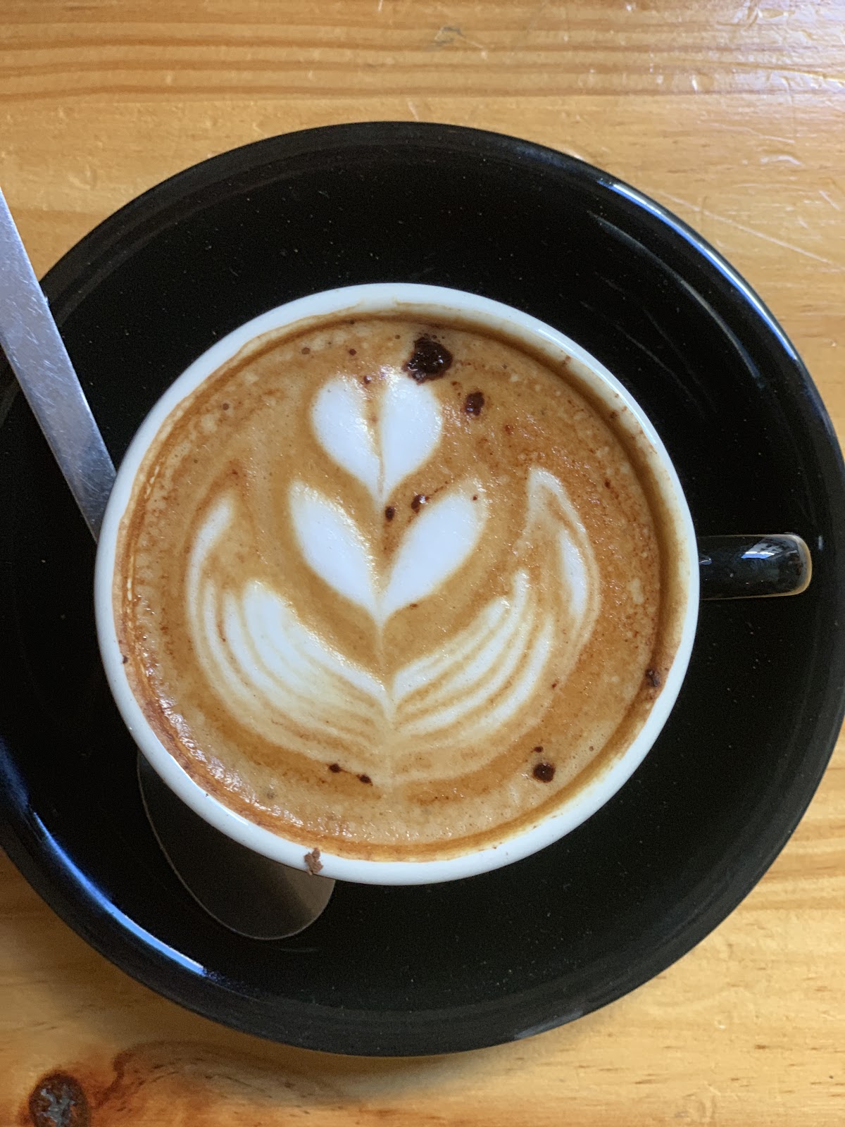 Bianchi Kiosko Caffé — café photo 6