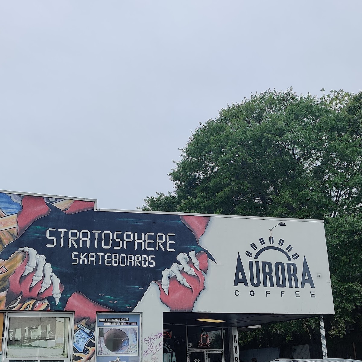Aurora Coffee Little Five Points — café photo 5
