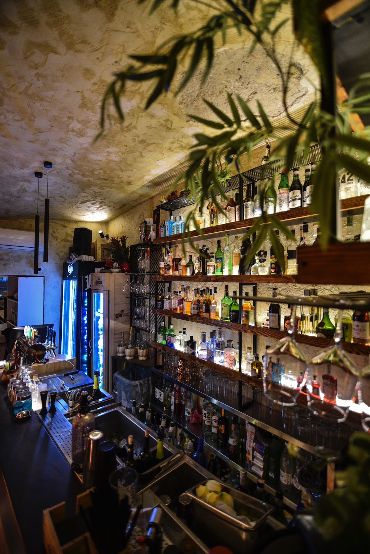 Sfizio Caffe — café photo 1