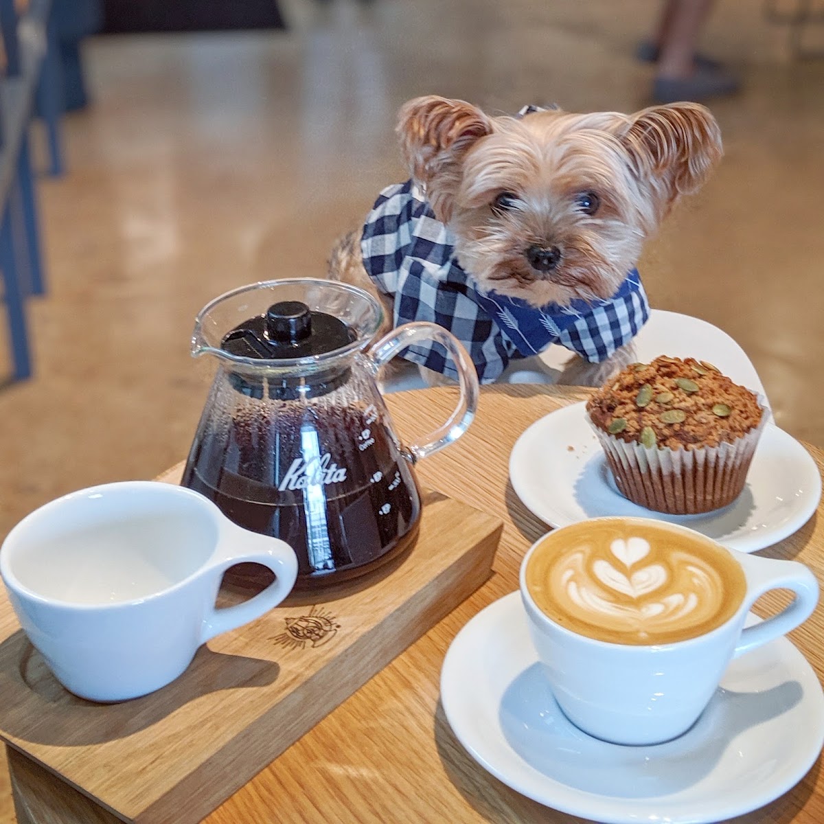 Merit Coffee — café photo 2