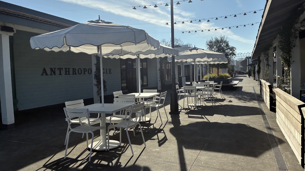 Blue Bottle Coffee Santa Rosa — café photo 1