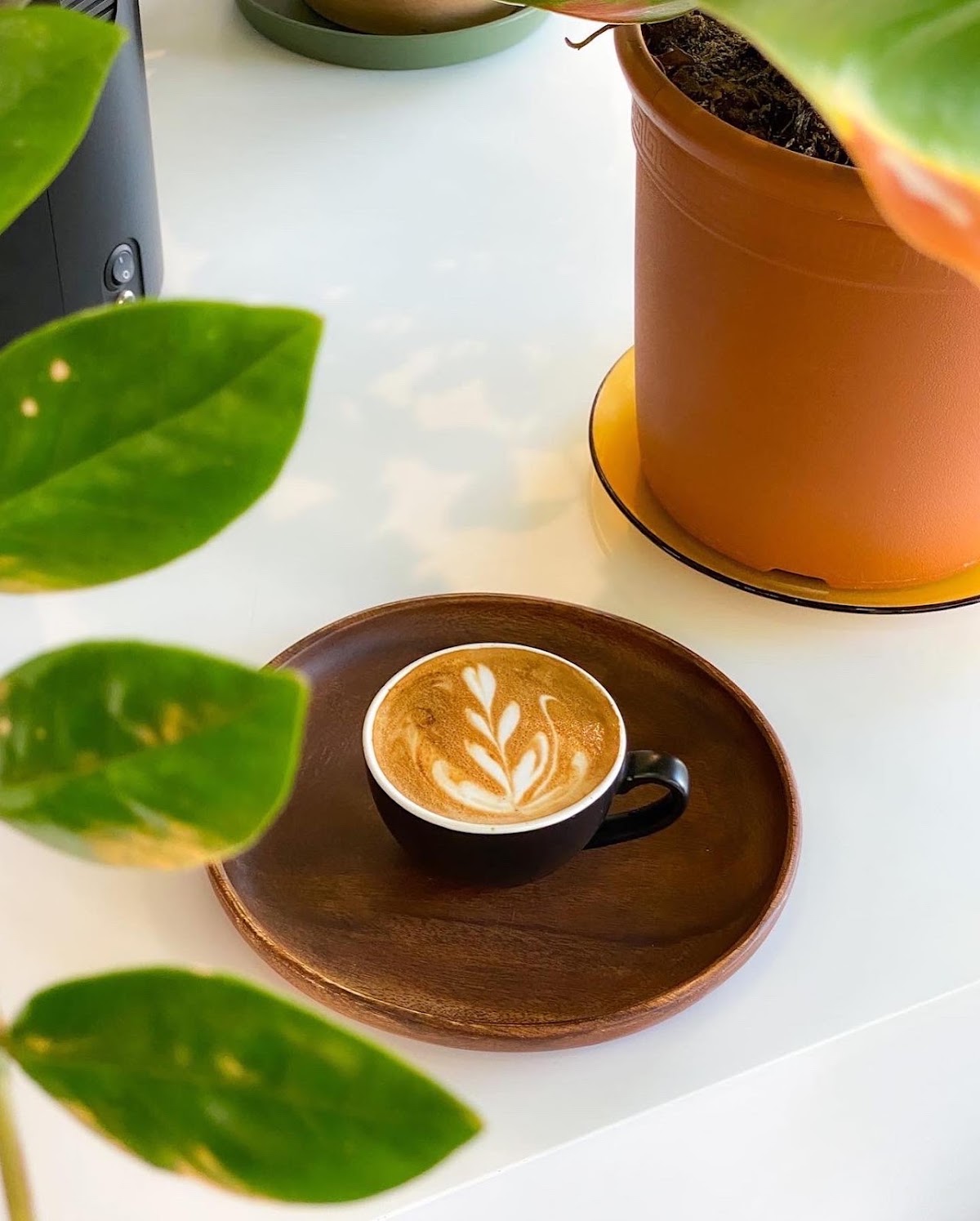 Rise Coffee Roasters — café photo 4