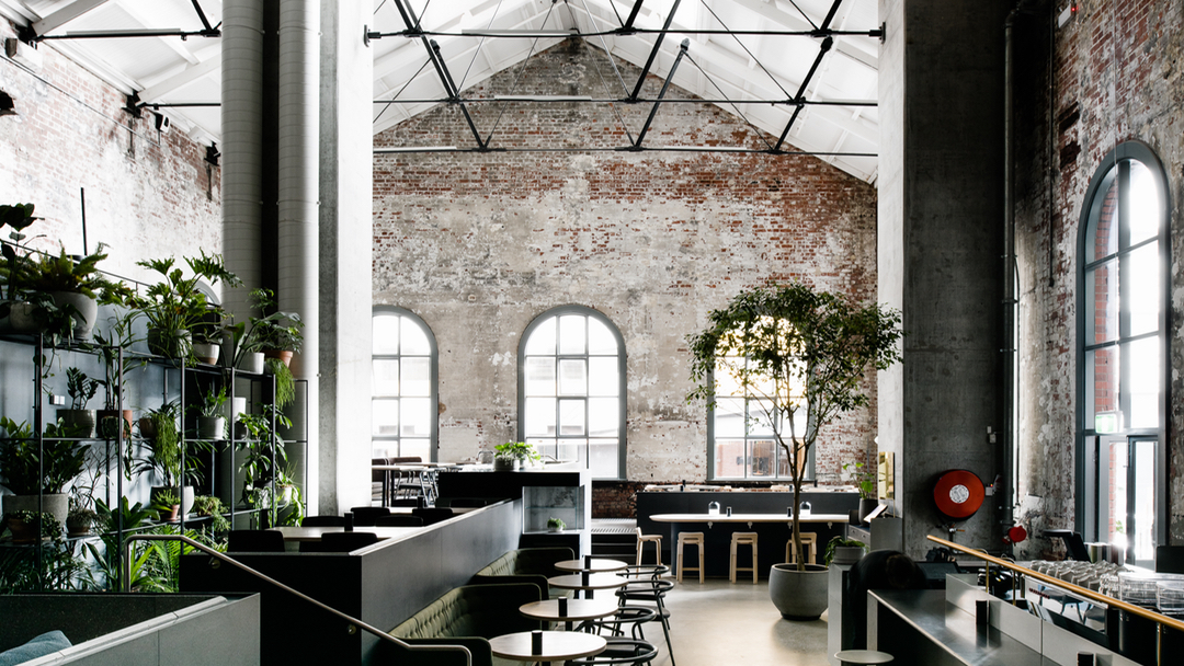 Higher Ground — café photo 1