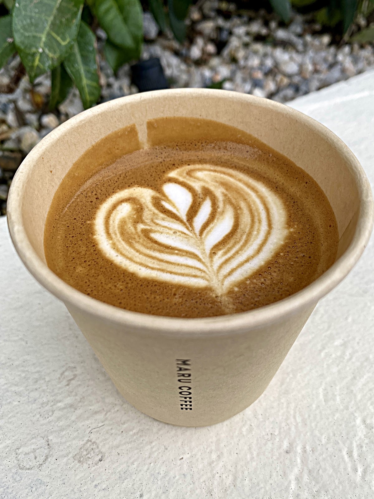 Maru Espresso Bar — café photo 6