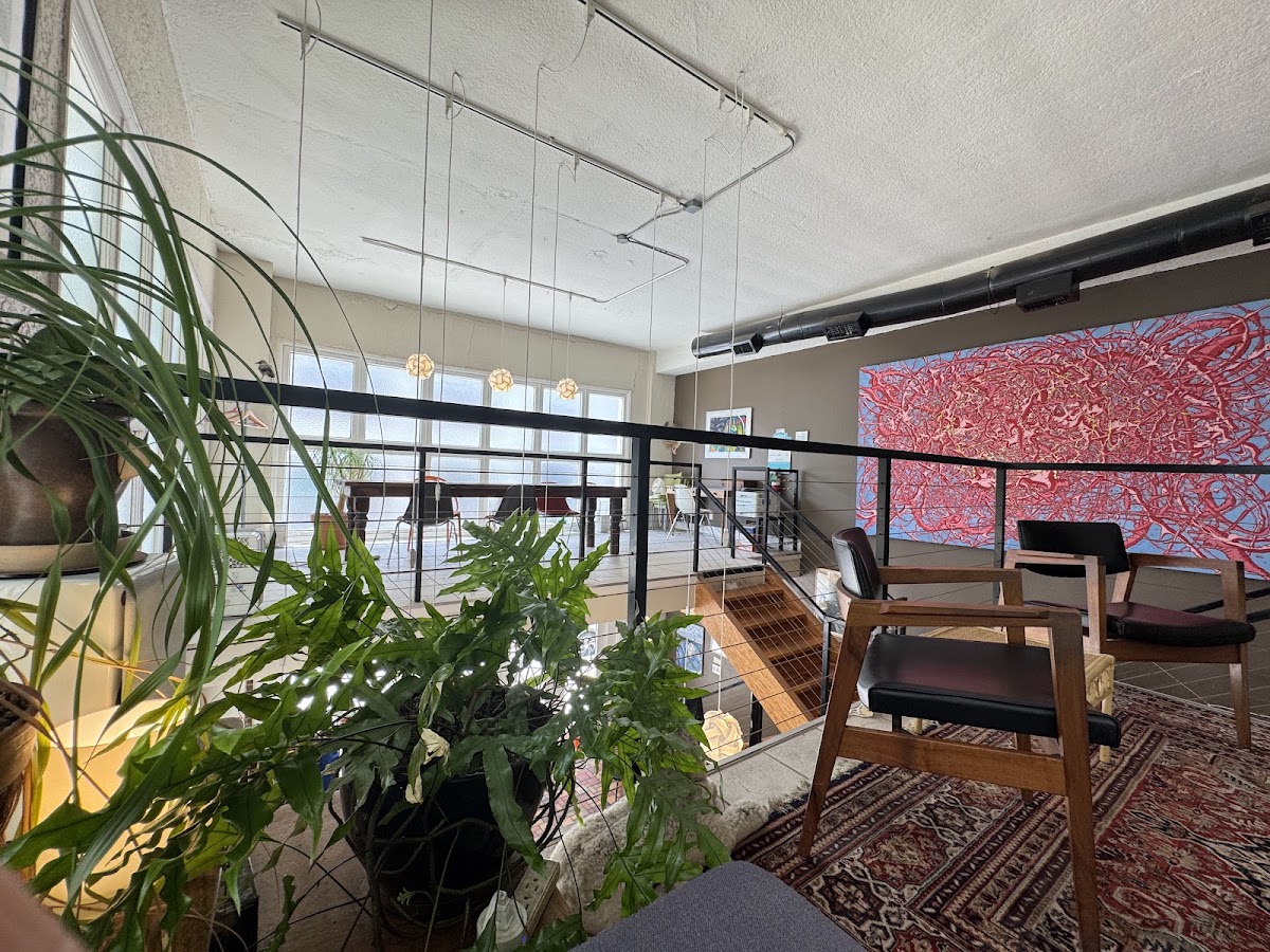 Murray Street Coffee — café photo 6
