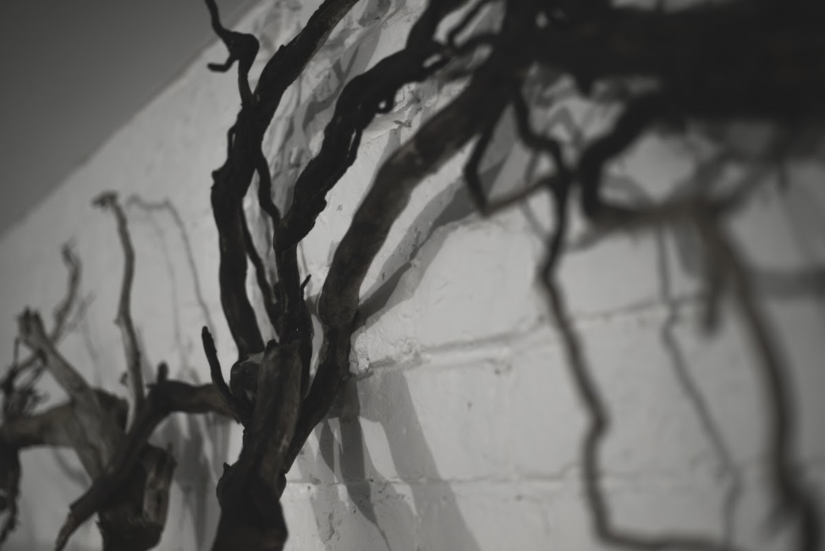 Kult Coffee — café photo 3