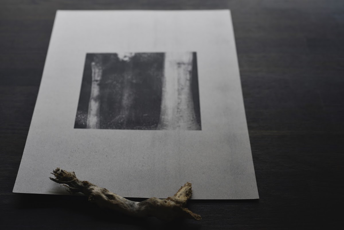 Kult Coffee — café photo 4