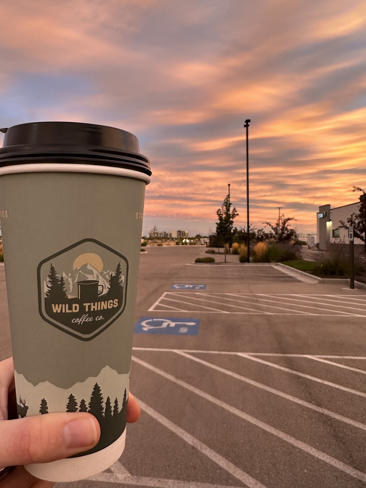 Wild Things Coffee Co. — café photo 3