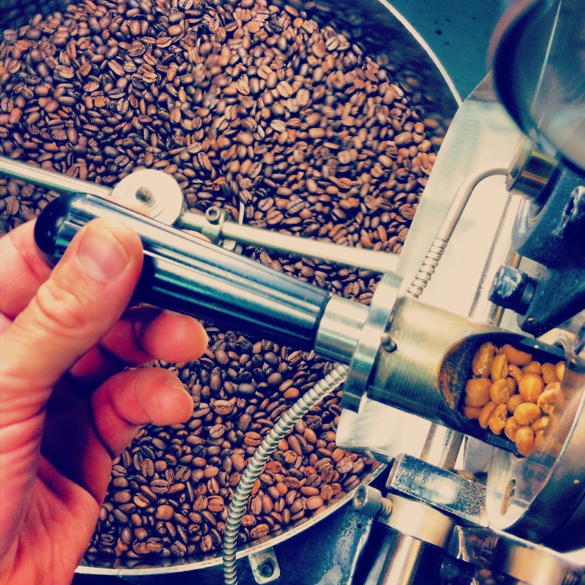 Noble Coyote Coffee Roasters — café photo 1