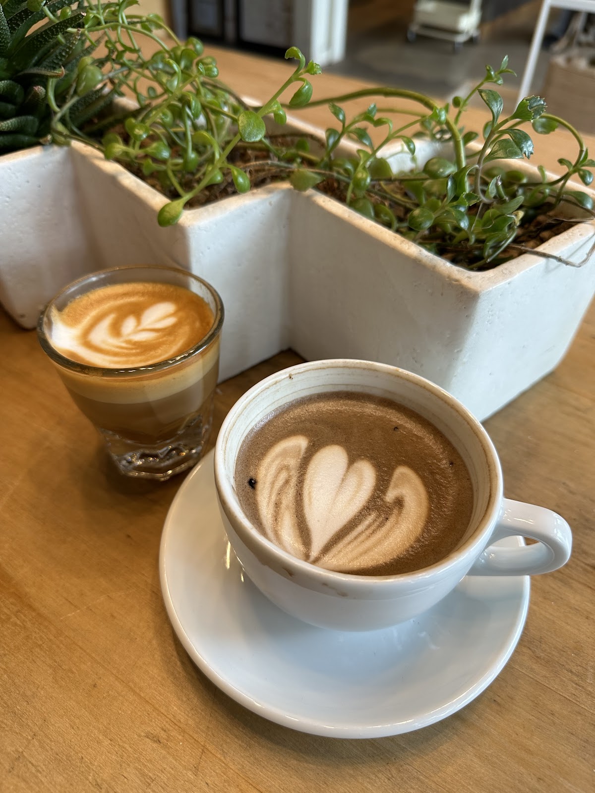 Noble Coyote Coffee Roasters — café photo 2