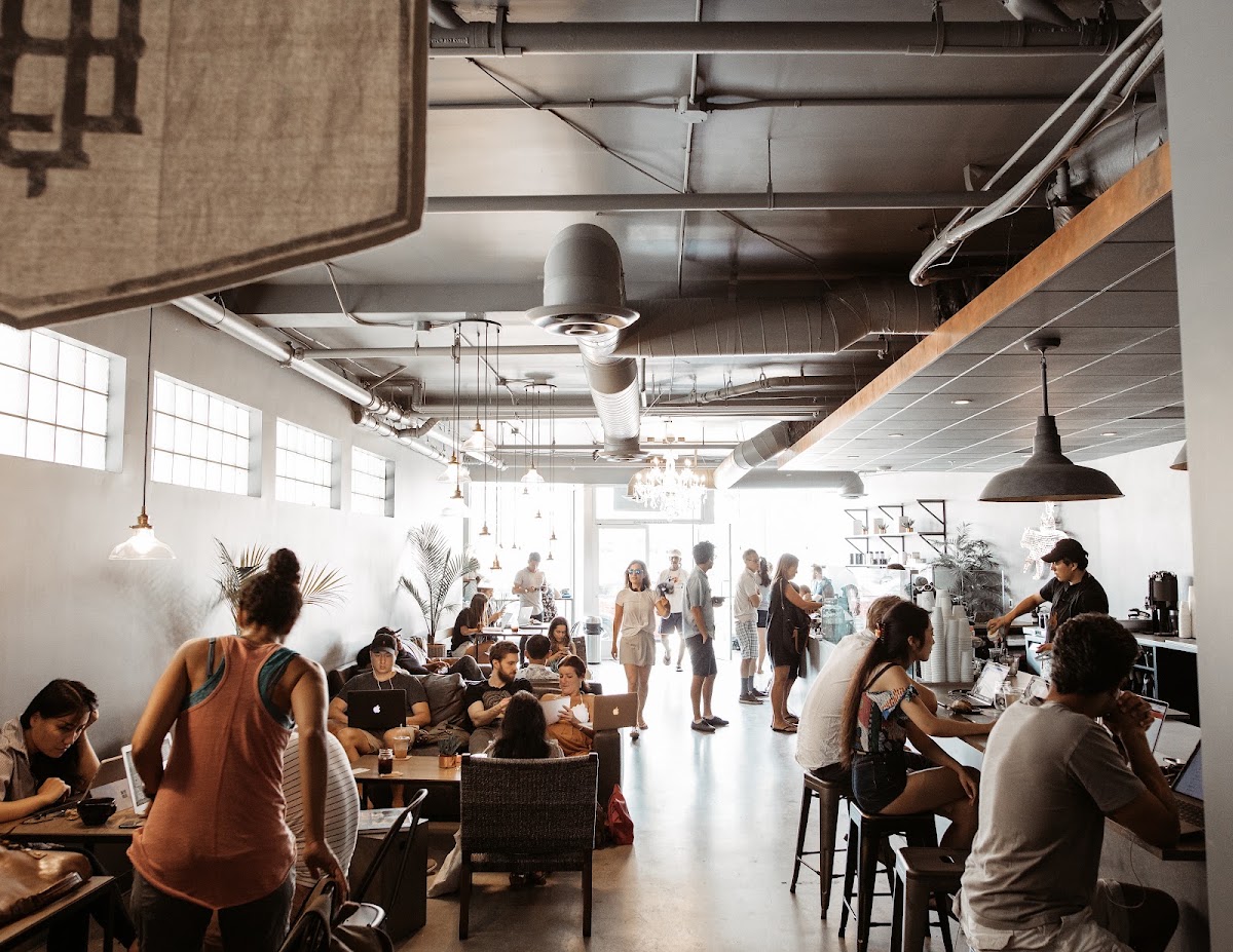 The Boy & The Bear - Coffee Roastery — café photo 1