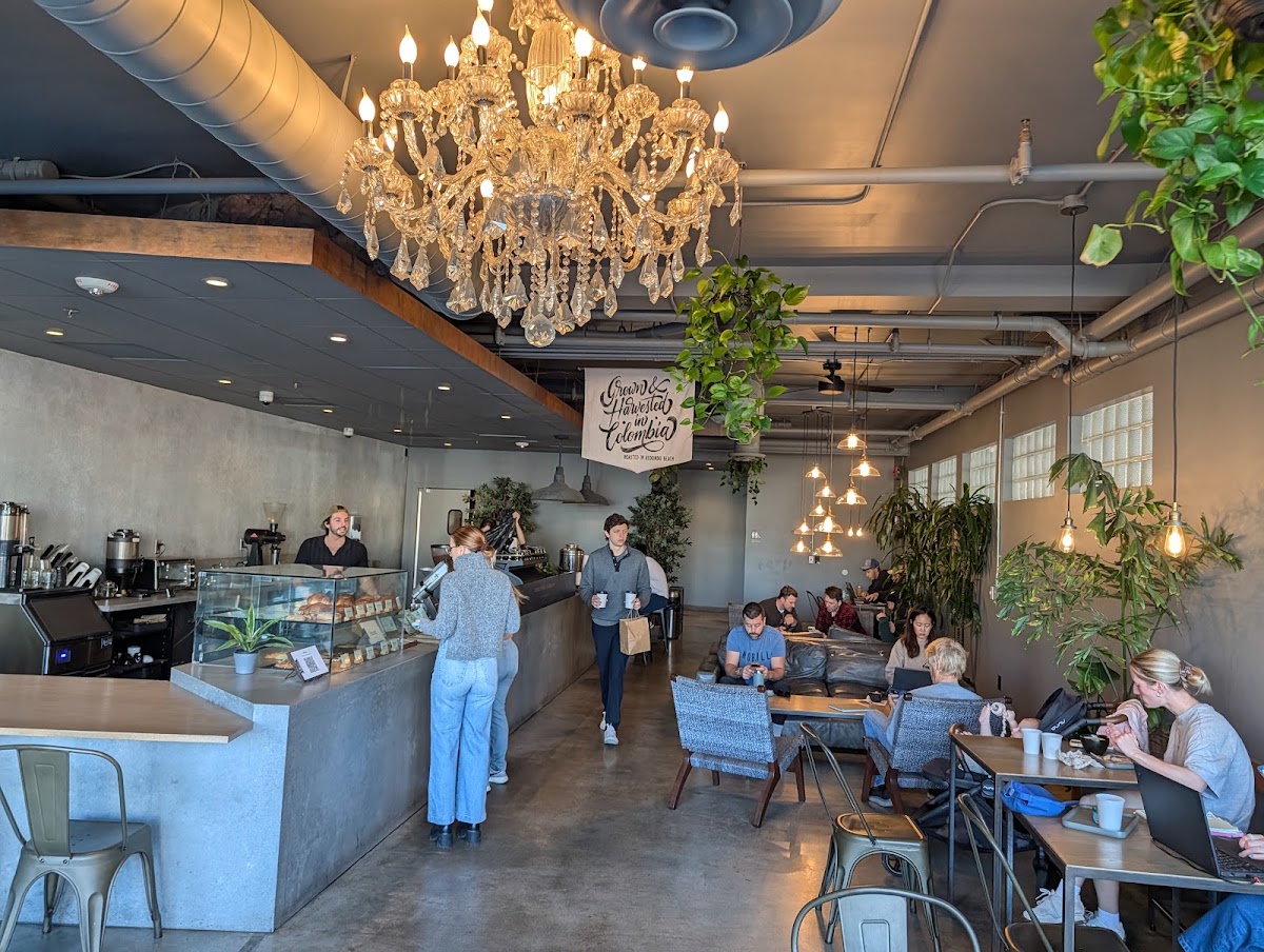 The Boy & The Bear - Coffee Roastery — café photo 3