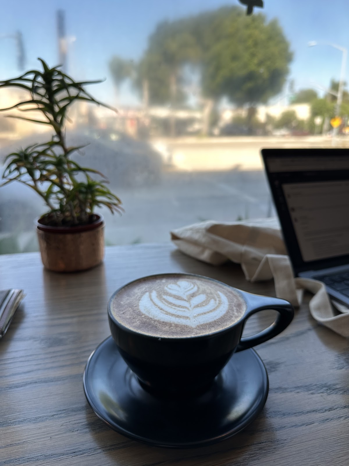 The Boy & The Bear - Coffee Roastery — café photo 5