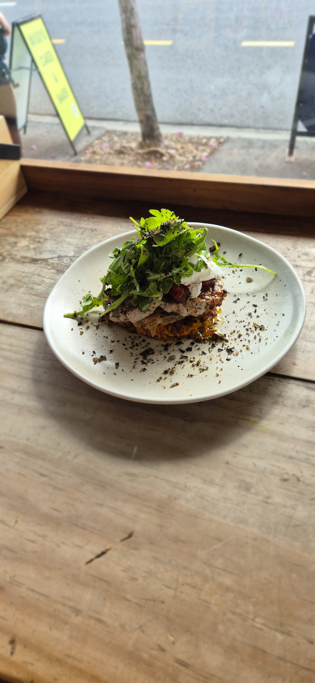 Sassafras Canteen — café photo 4