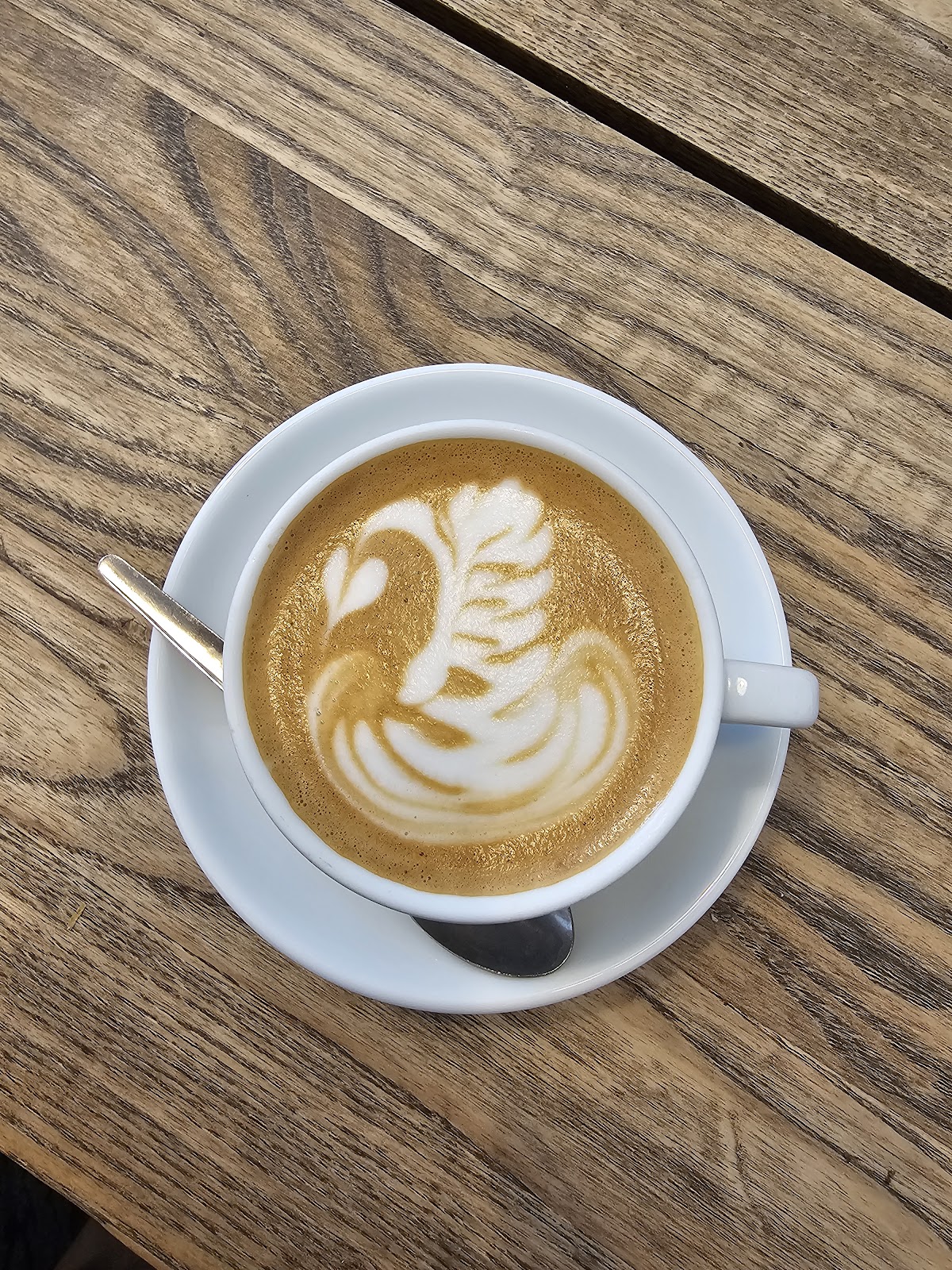 Store Street Espresso — café photo 3