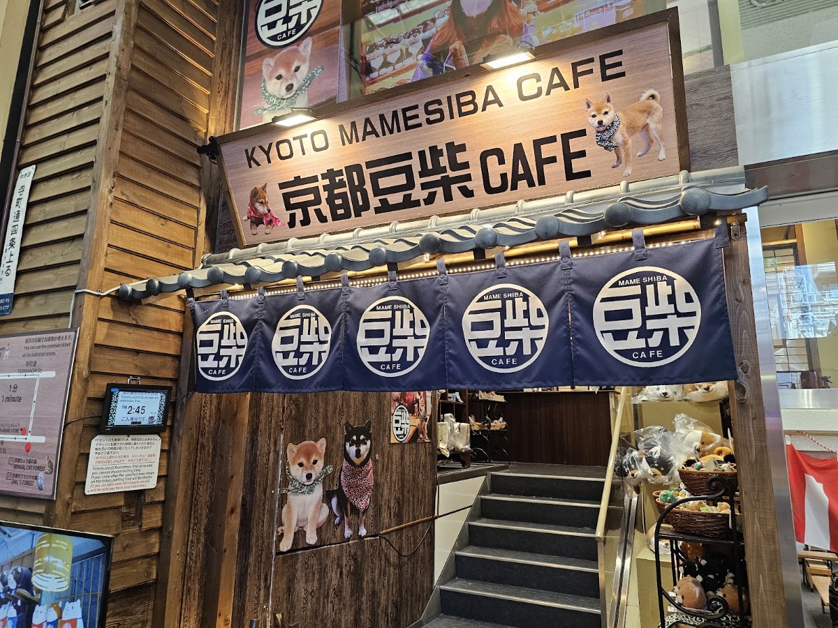 Mameshiba Coffee — café photo 3