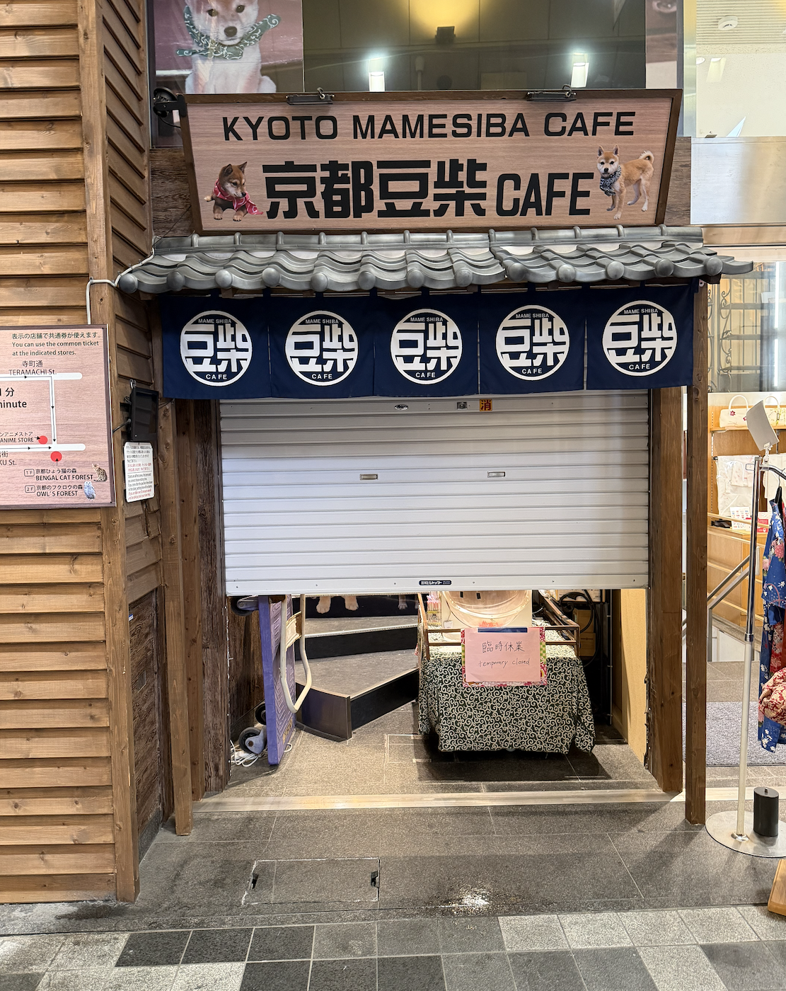 Mameshiba Coffee — café photo 5