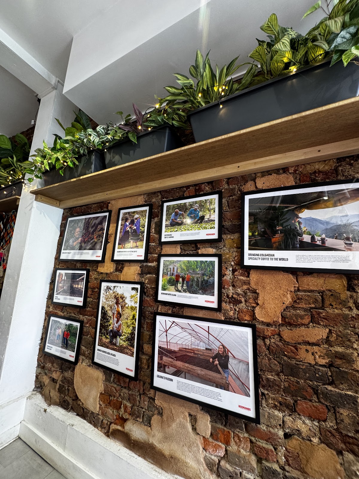 Hermanos Colombian Coffee Roasters — café photo 4
