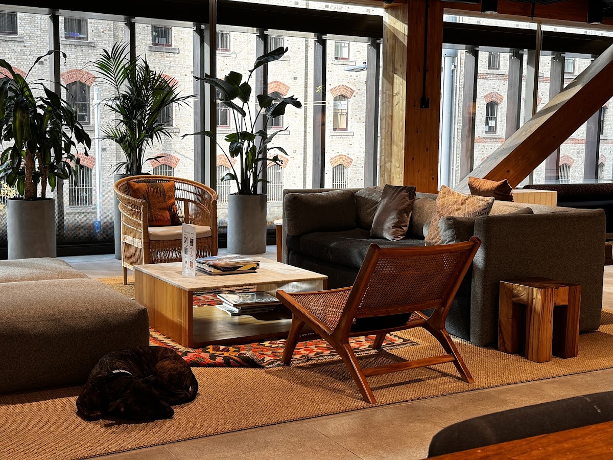 Normcore Coffee — café photo 3