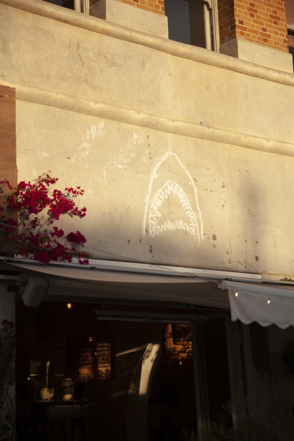 Great White Venice — café photo 6