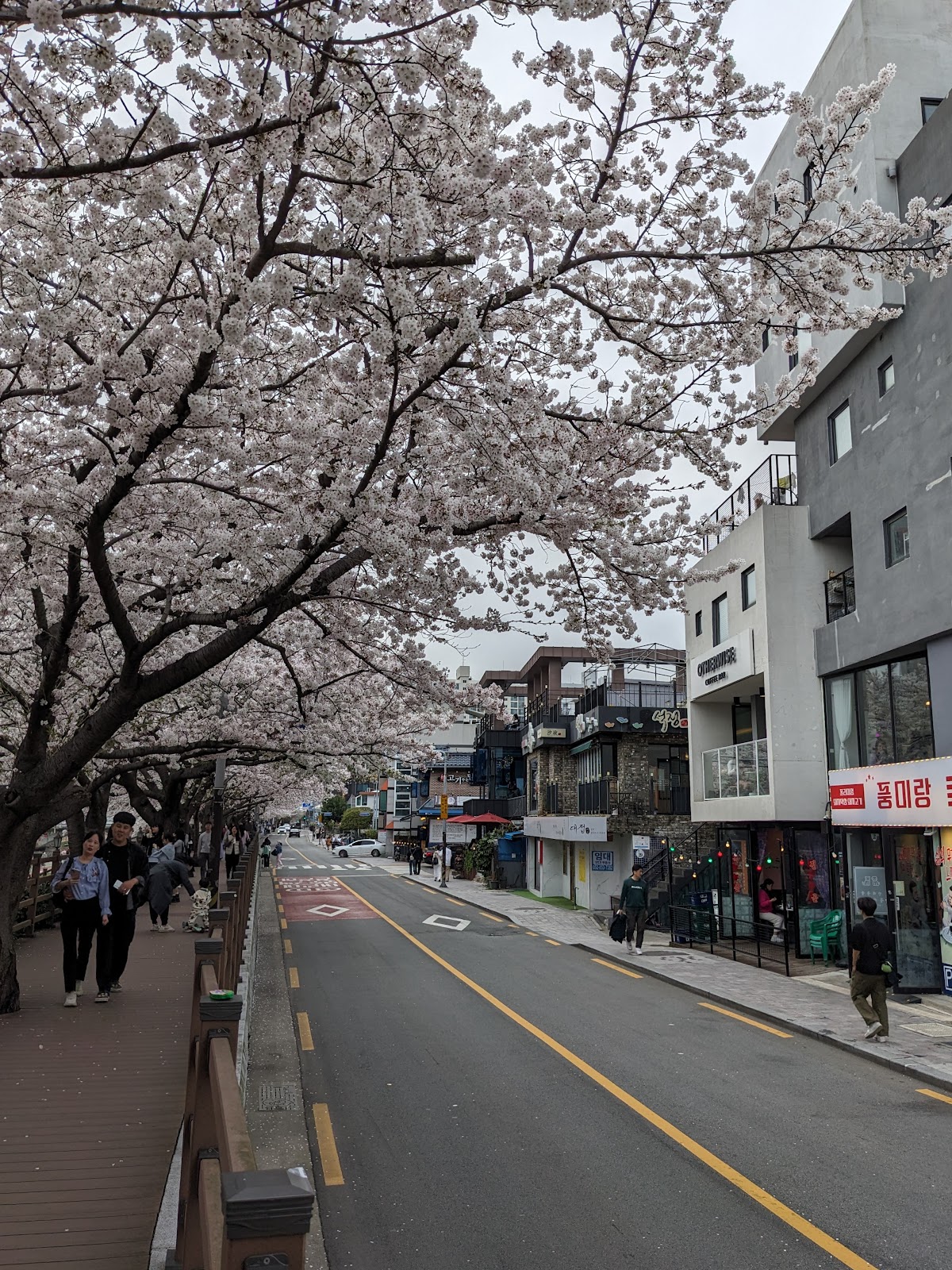 Oncheoncheon Coffee — café photo 4