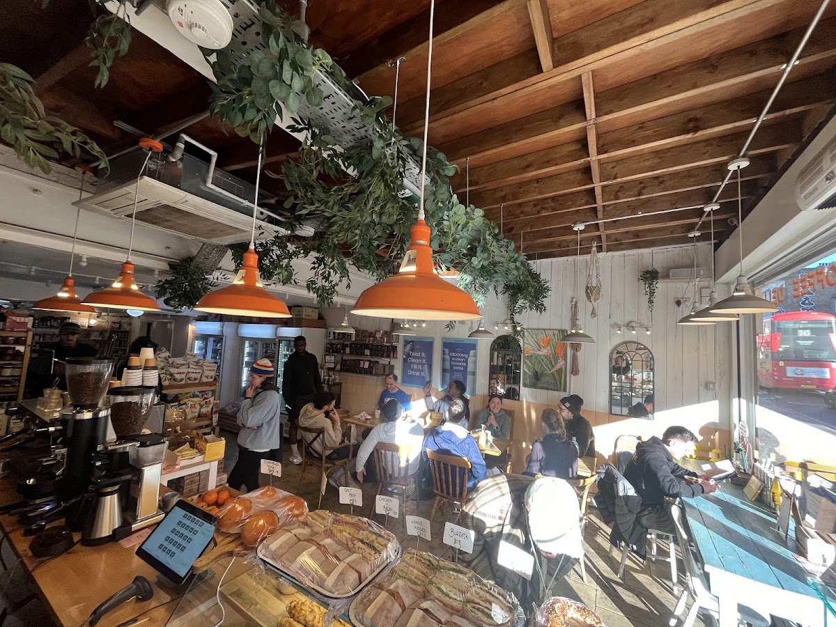 Strelitzia — café photo 6