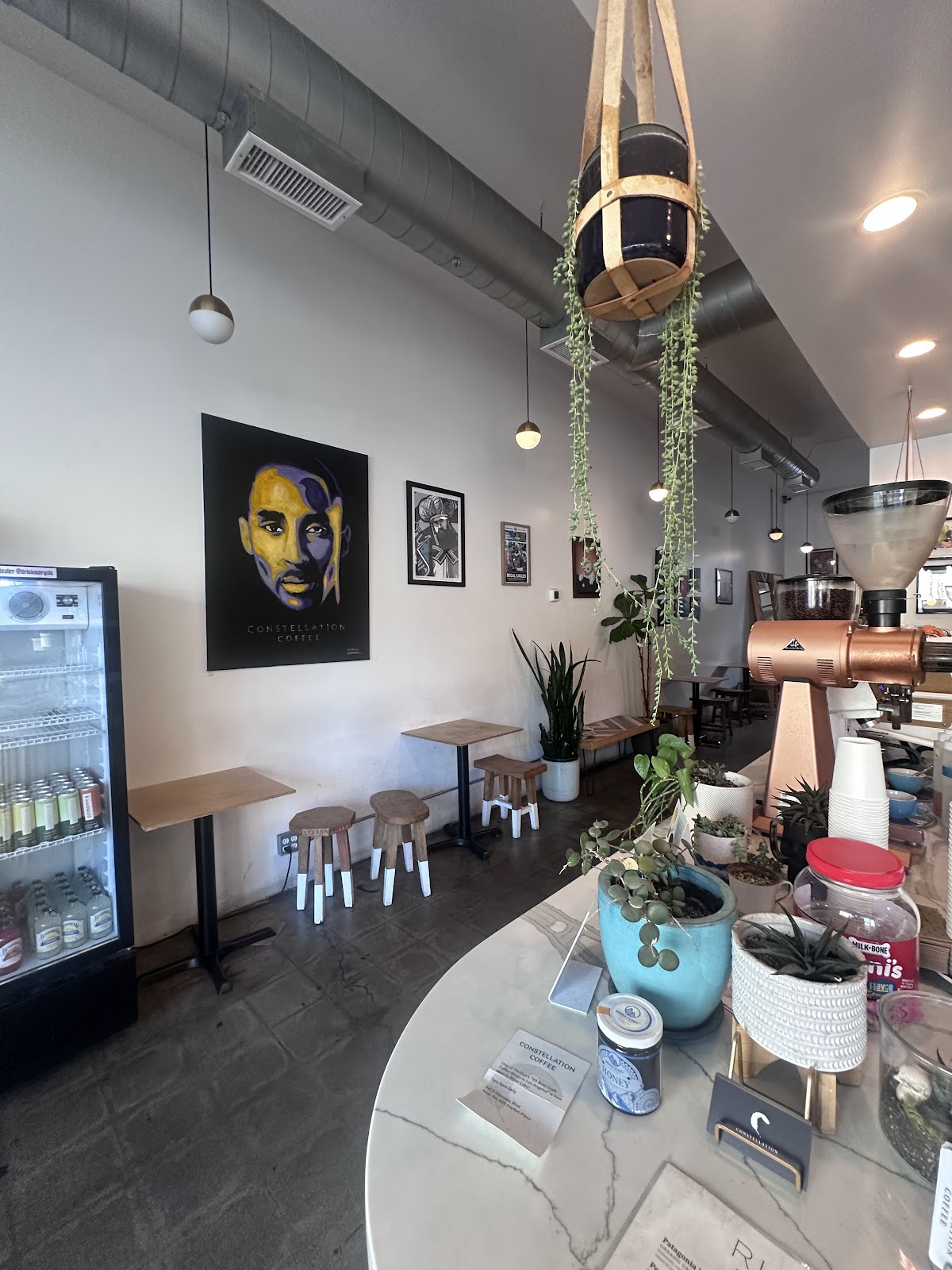 Constellation Coffee — café photo 3