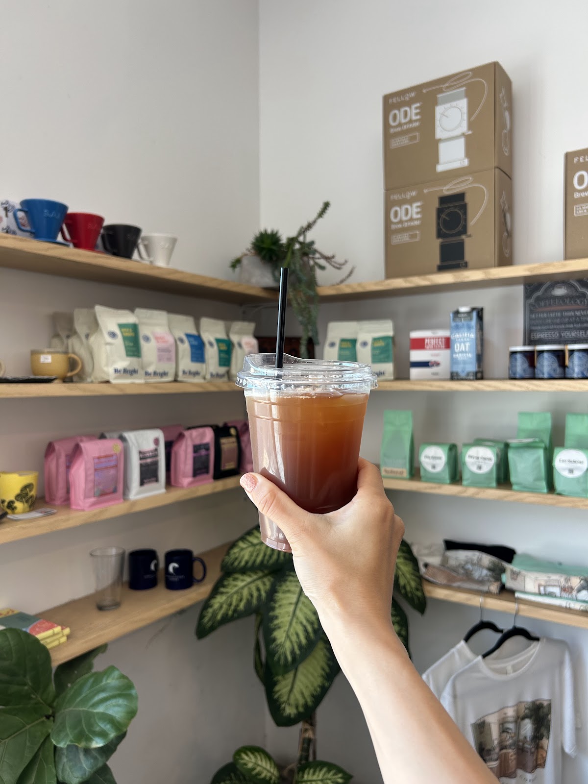 Constellation Coffee — café photo 6