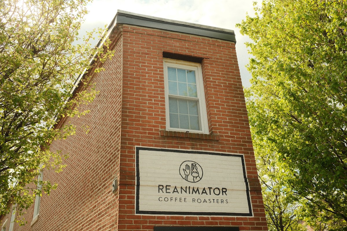 ReAnimator Coffee — café photo 3