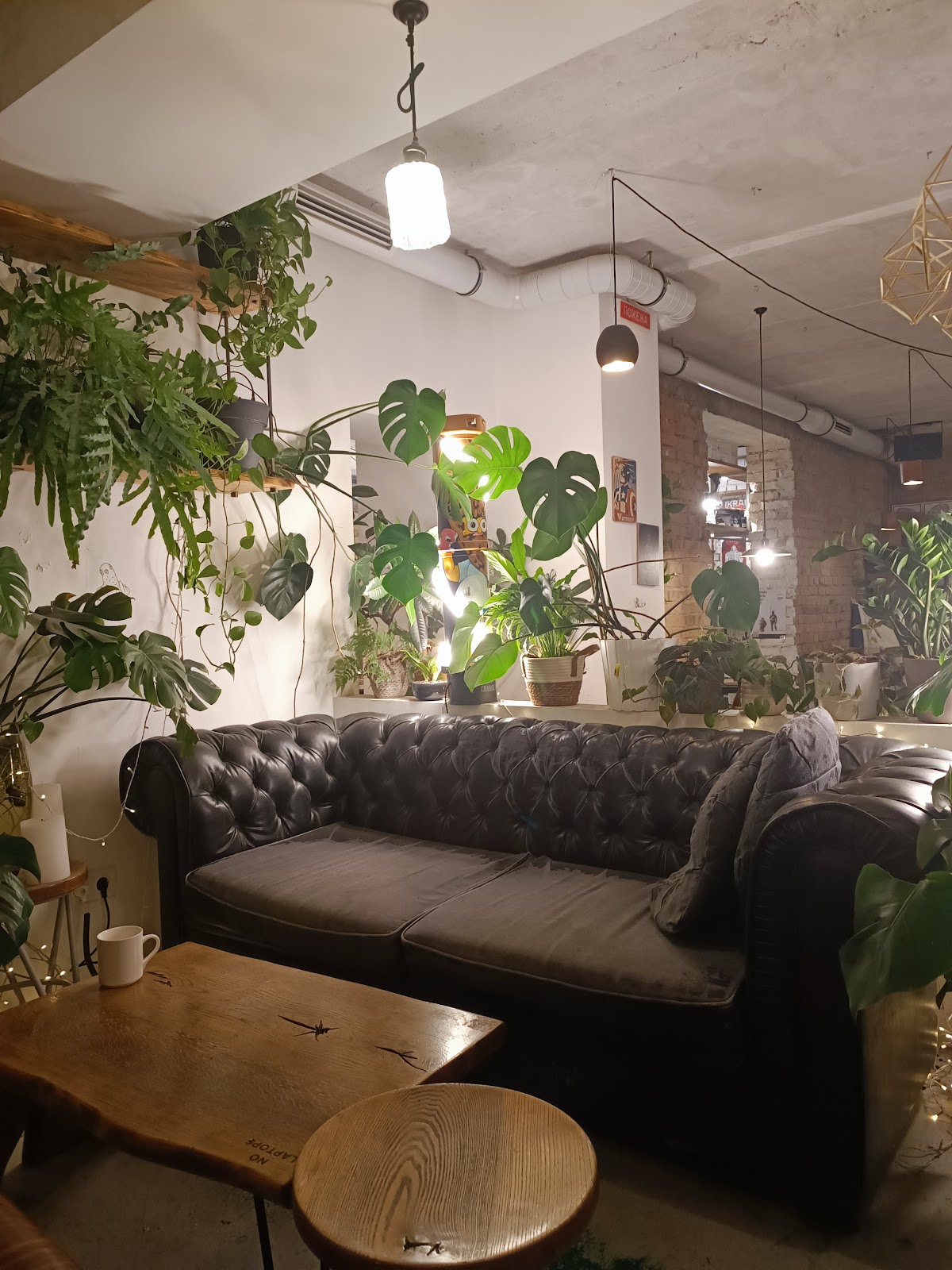 Blur Coffee — café photo 6