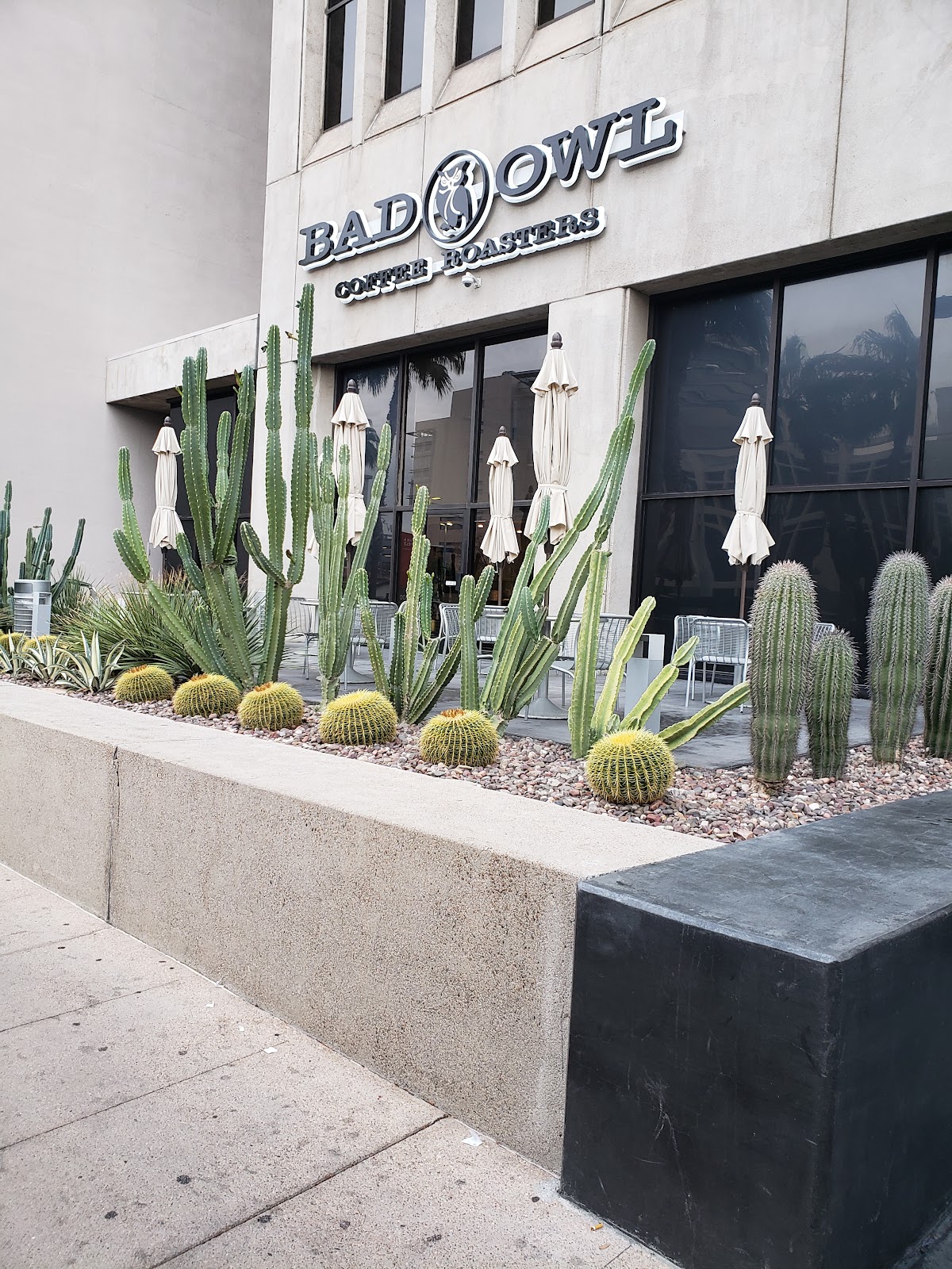 Bad Owl Coffee Roasters — café photo 1