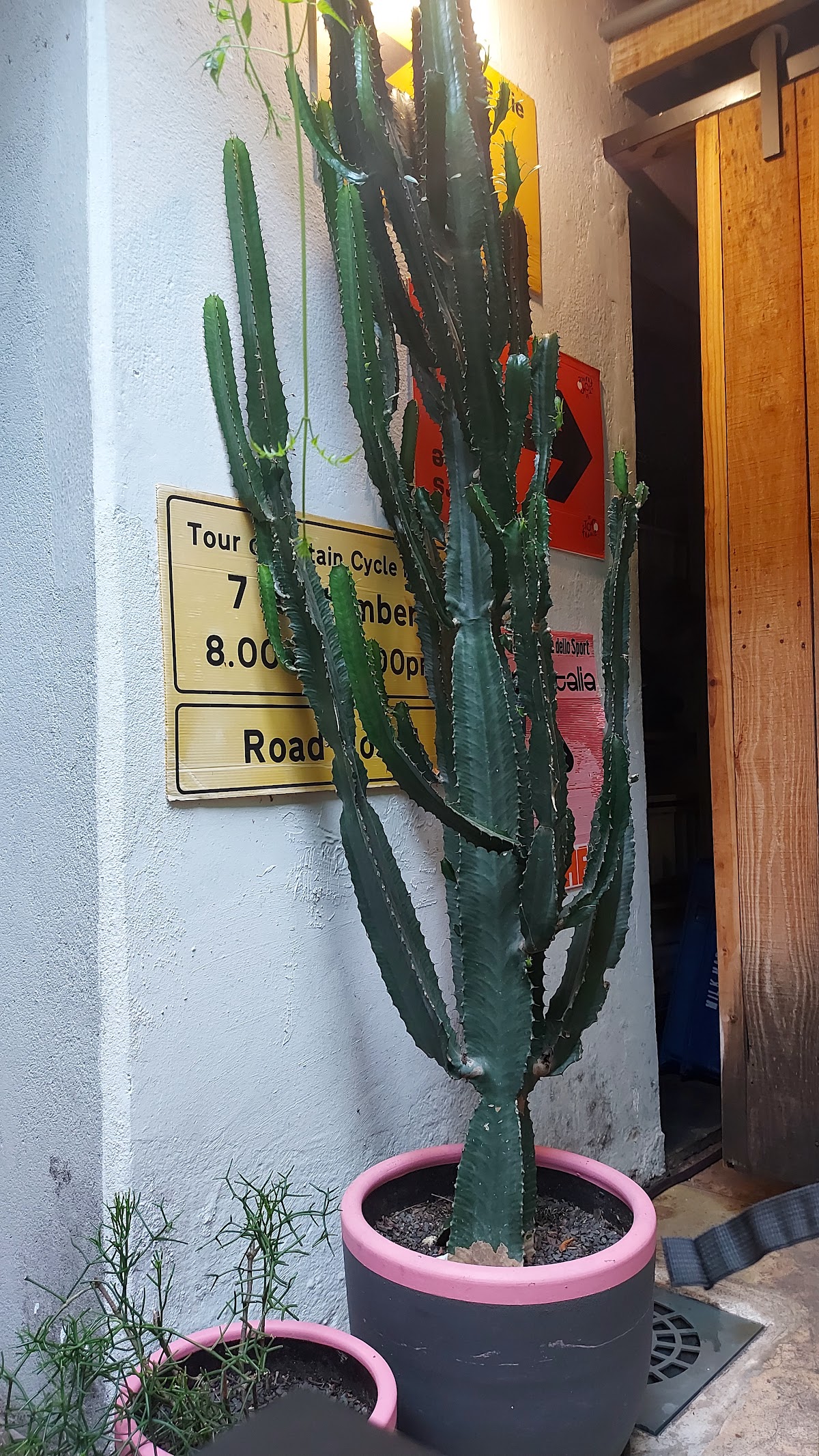 King of the Fork — café photo 6