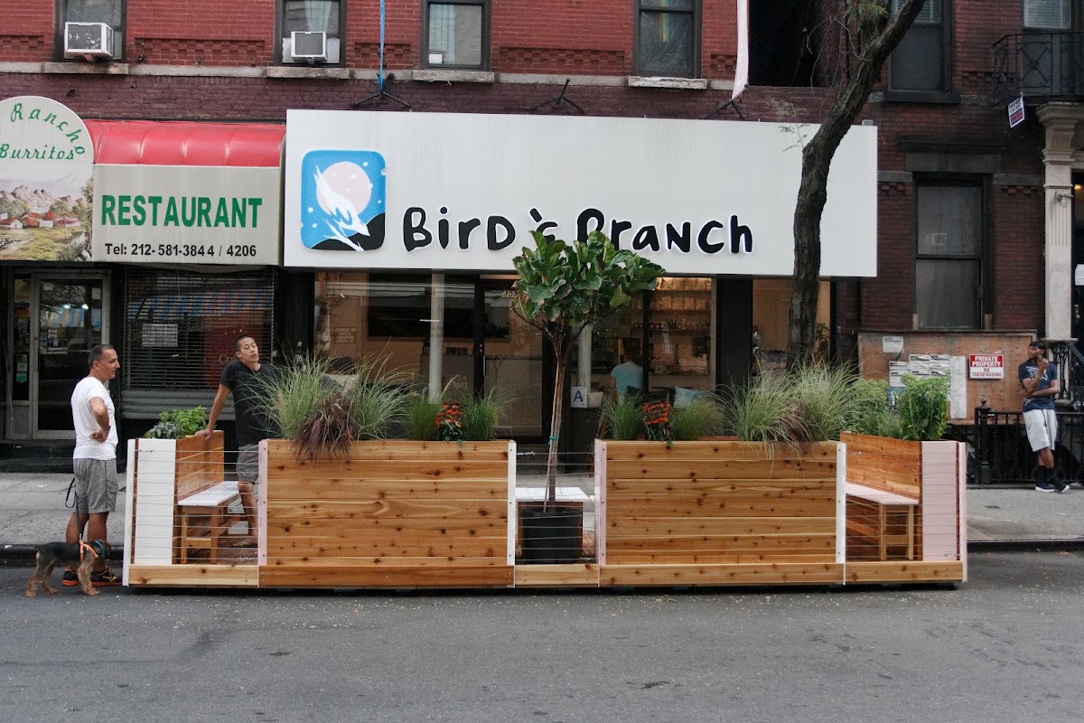Bird & Branch Coffee Roasters — café photo 1
