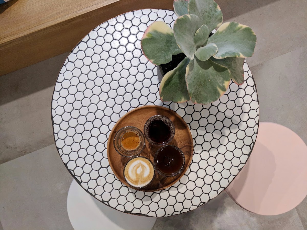 Bird & Branch Coffee Roasters — café photo 2