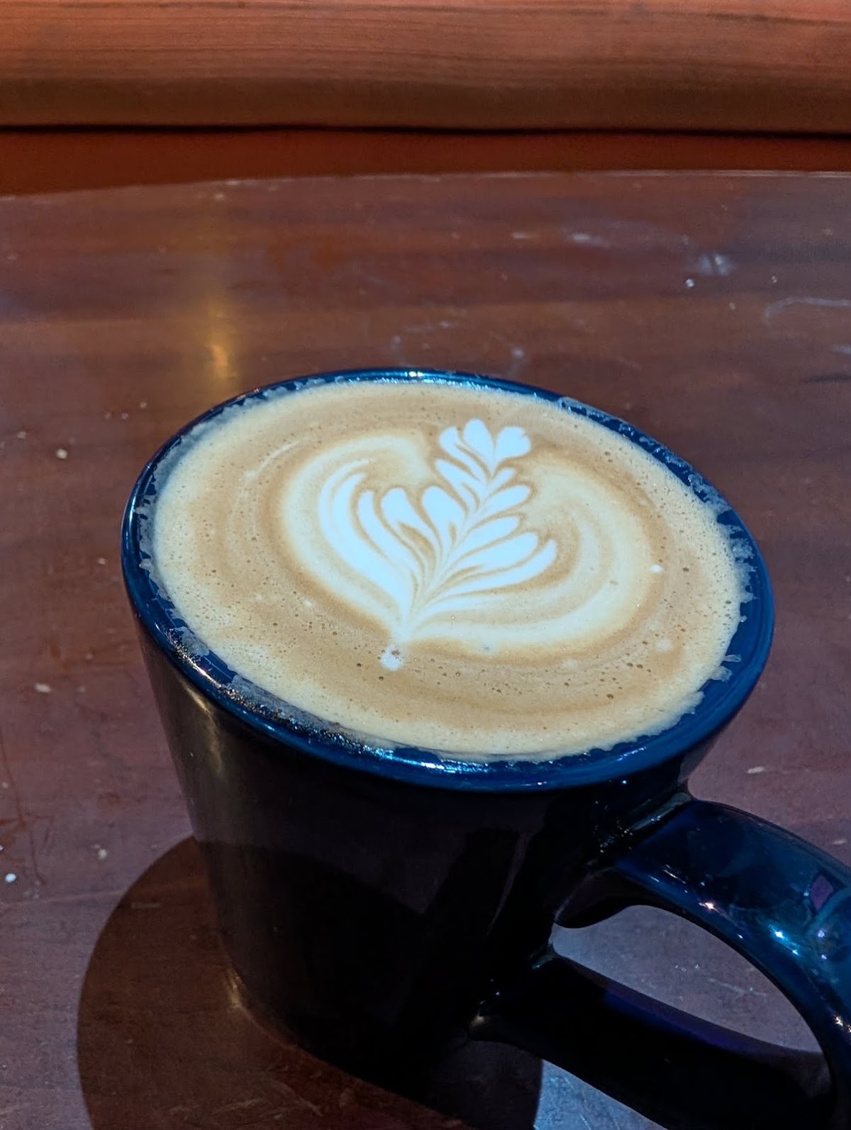 Black Hole Coffee House — café photo 5