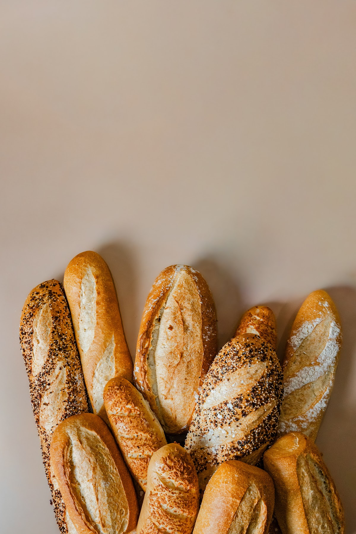 Rebel Bread — café photo 2