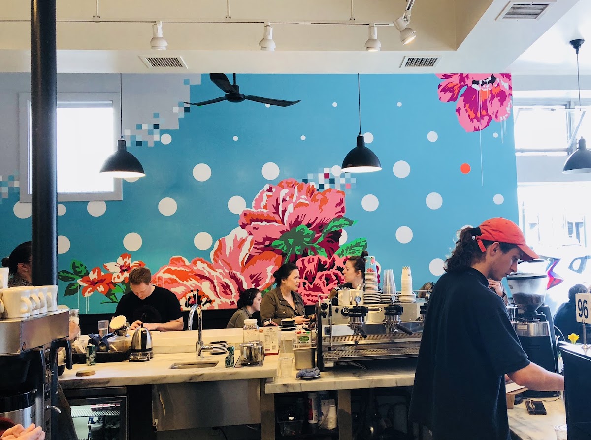Jane on Larkin — café photo 1