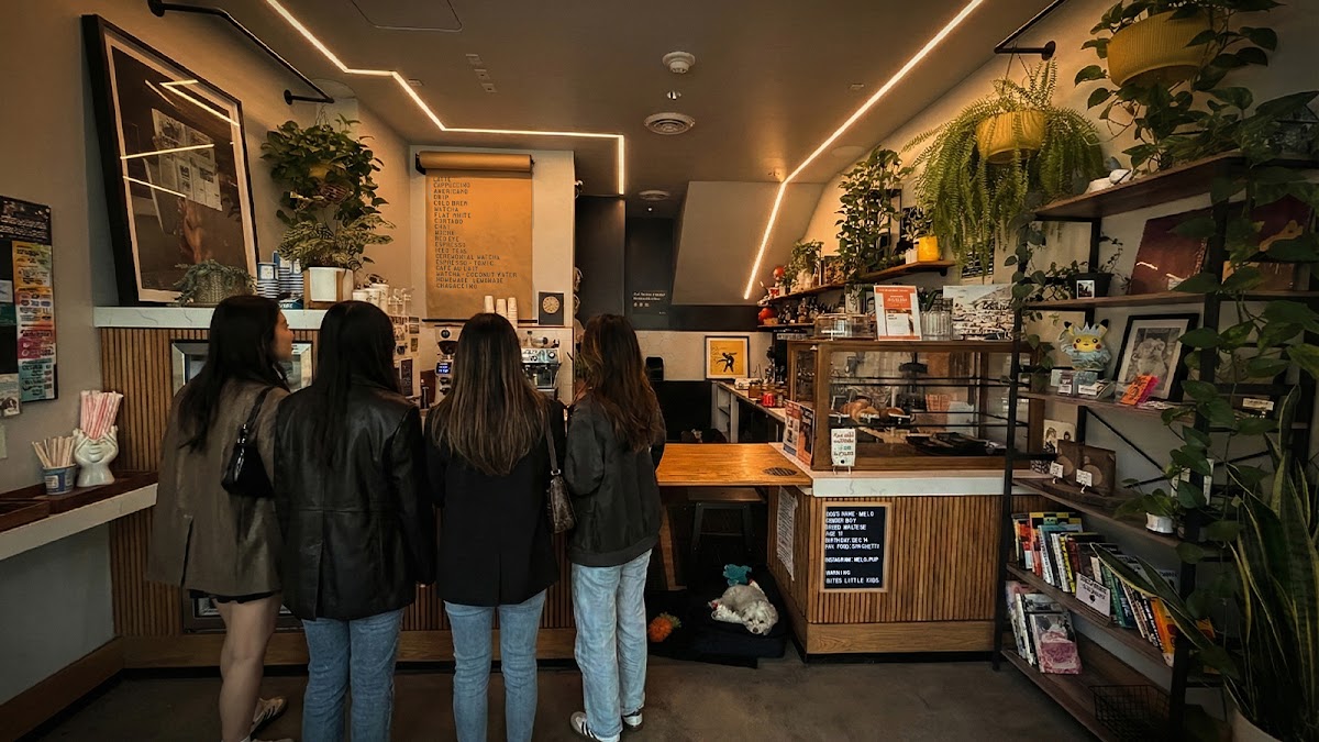 Virtu Coffee — café photo 1