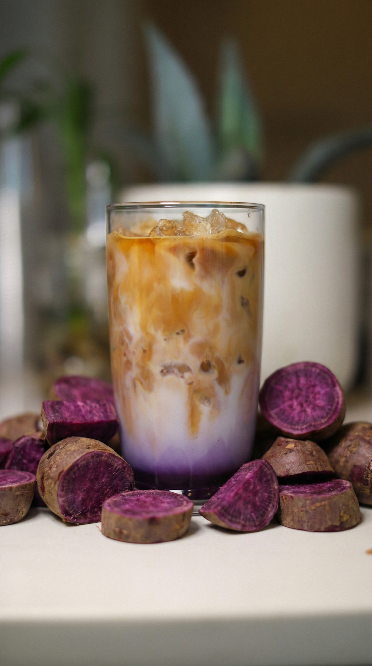 Virtu Coffee — café photo 4