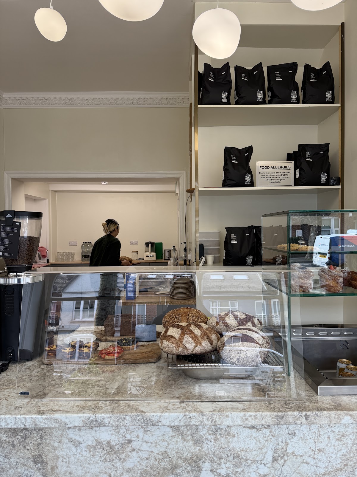 Muntjac — café photo 1