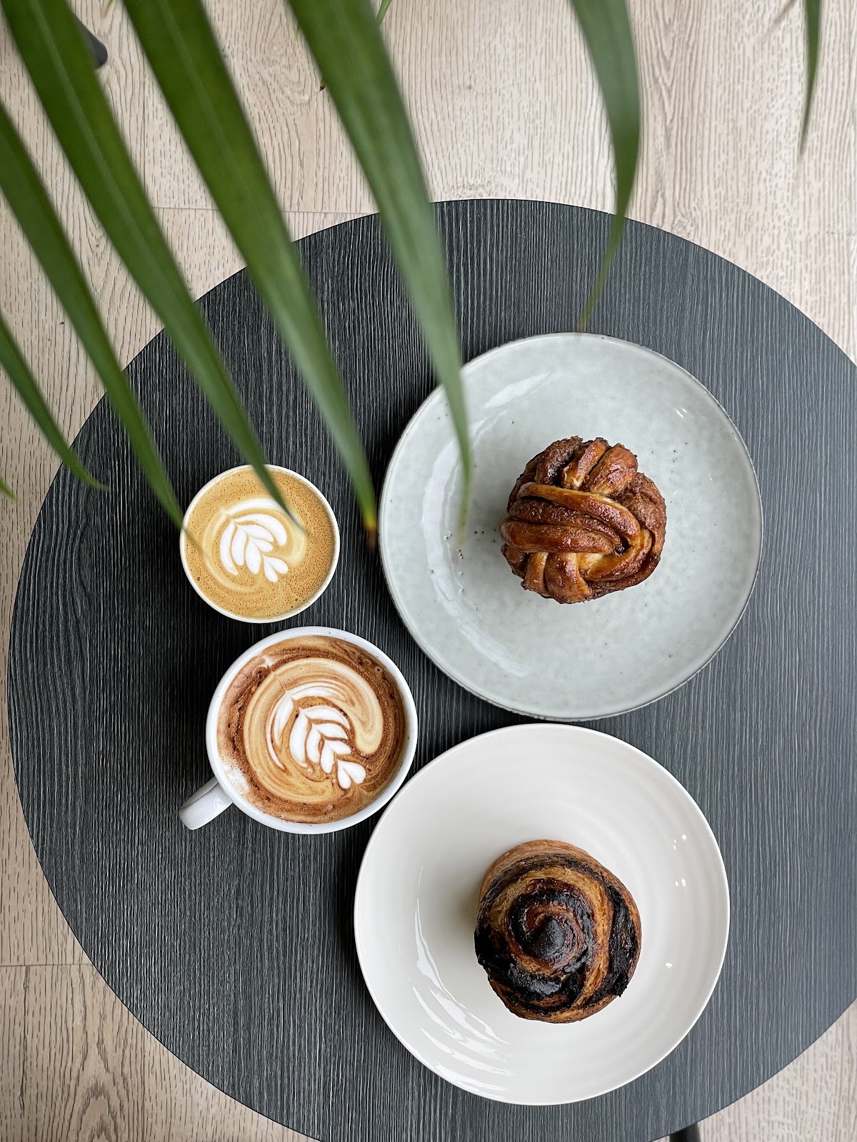 Muntjac — café photo 4