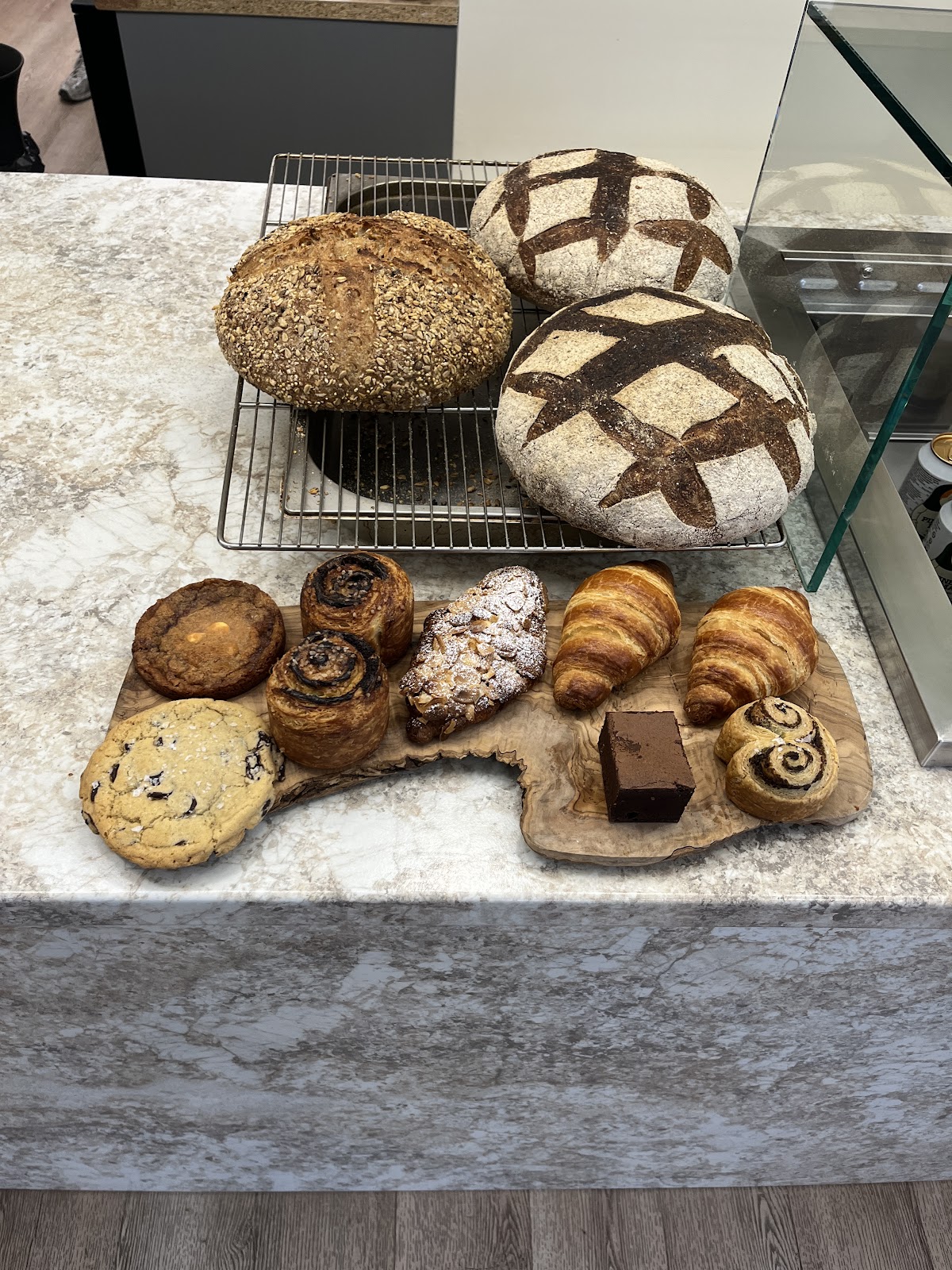 Muntjac — café photo 5