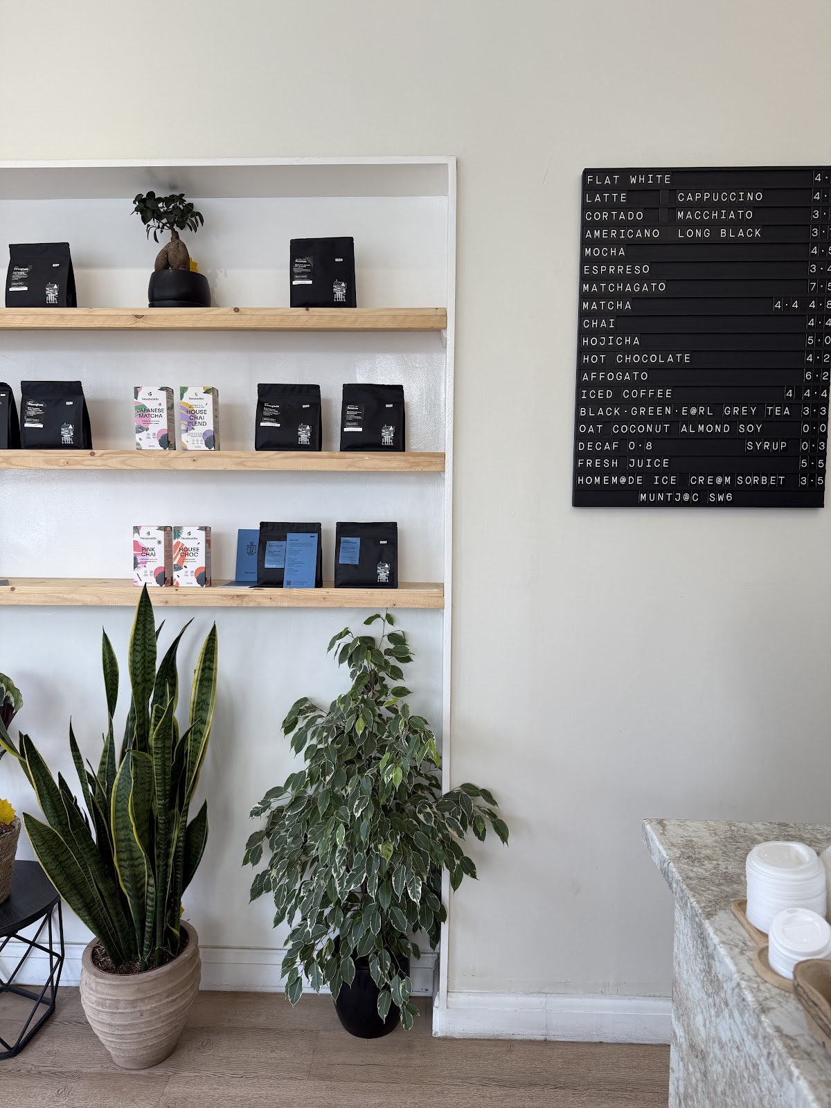 Muntjac — café photo 6
