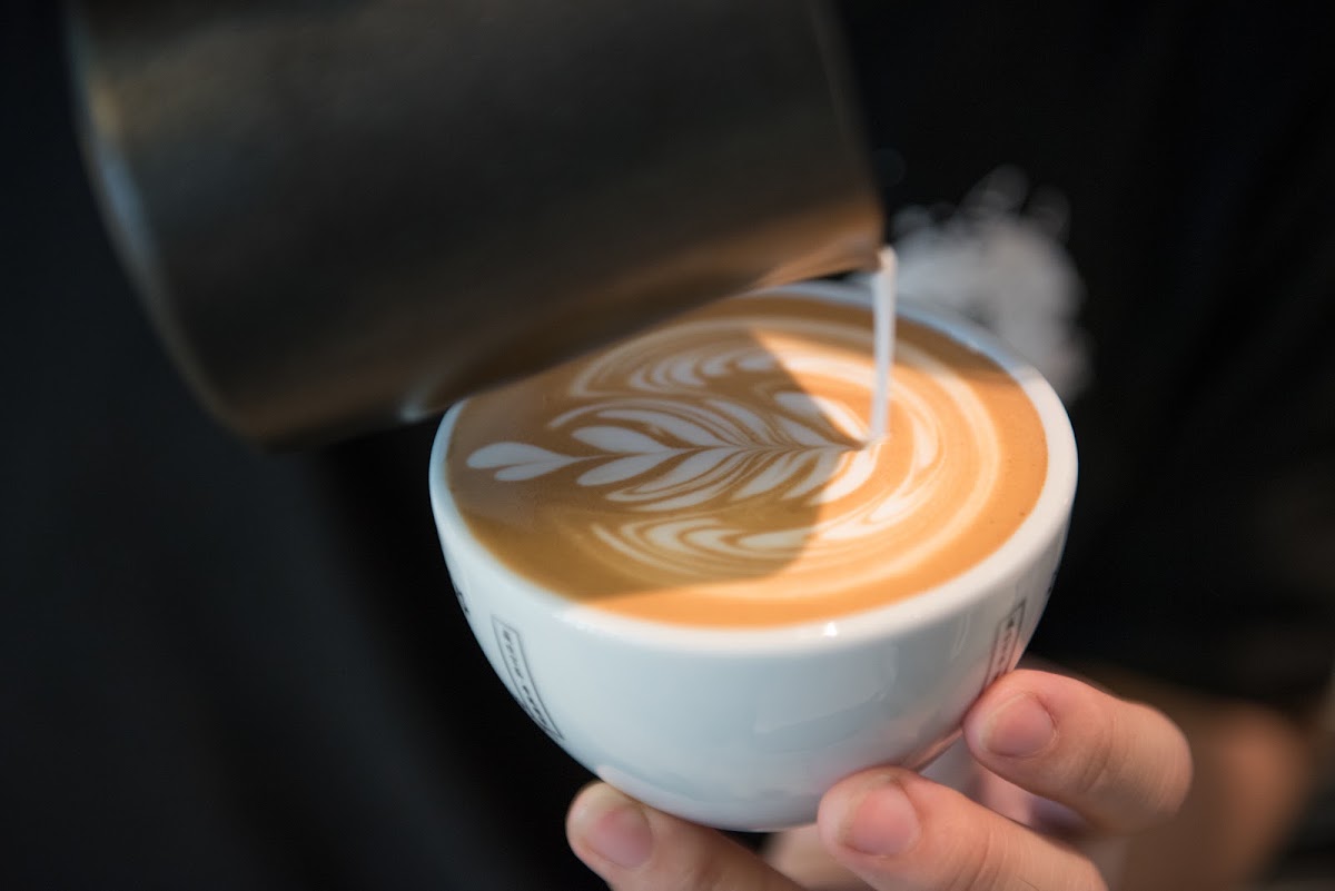 Sensory Zero — café photo 2