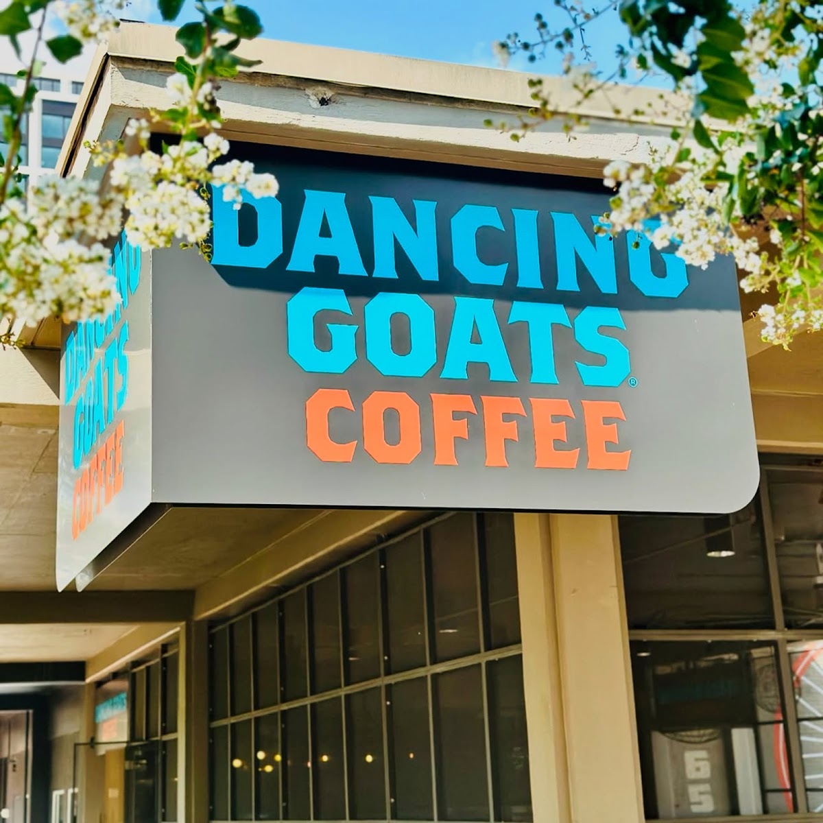 Dancing Goats Coffee Bar — café photo 1